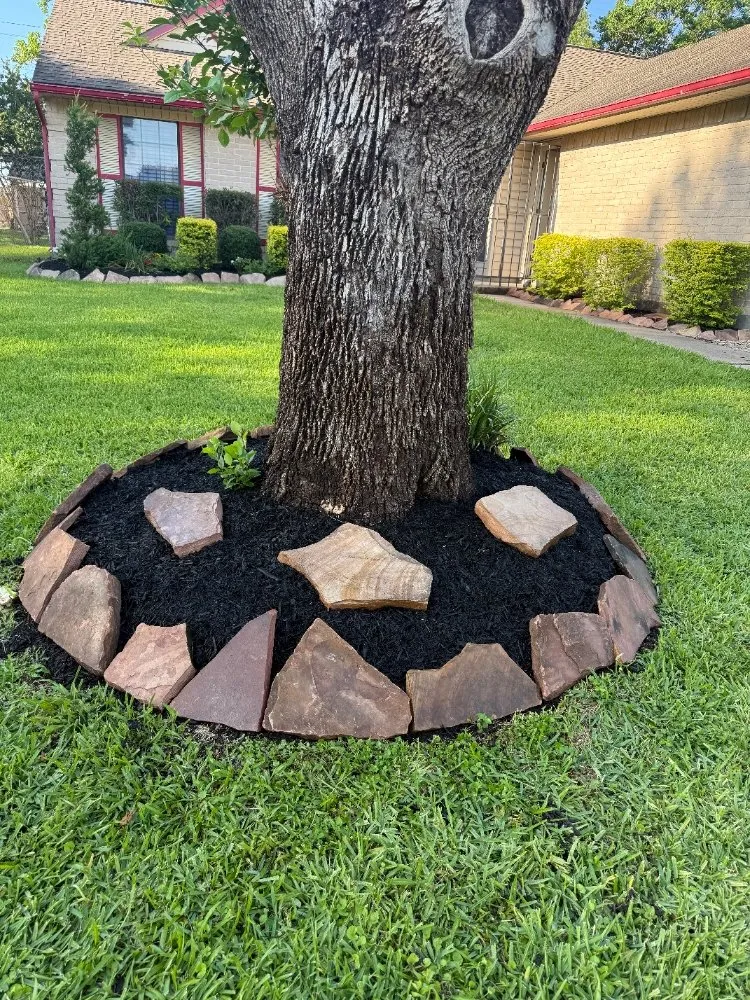 Top-rated garden landscaping experts serving Jacinto City, TX - Daniel Landscaping