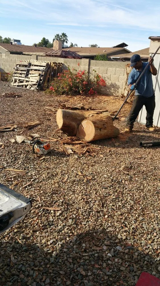 Affordable yard cleanup service for homes across Phoenix, AZ - Daniel Landscaping