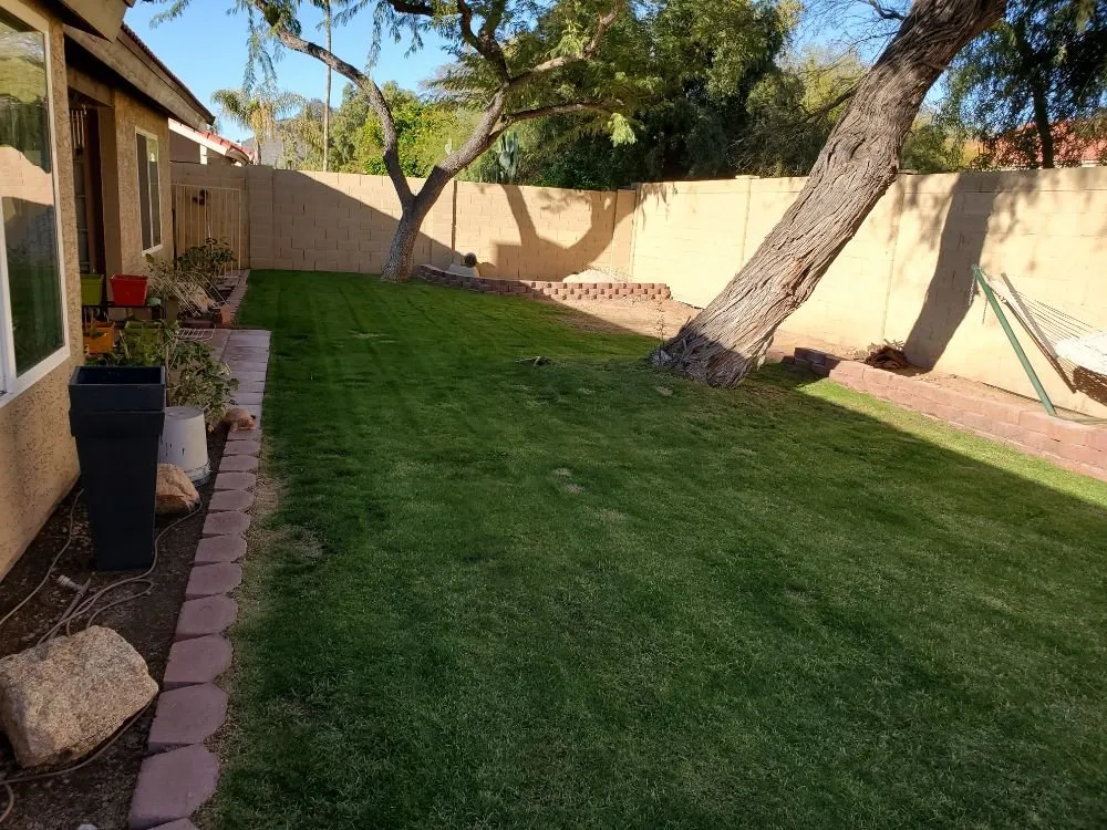 Professional lawn care service for year-round maintenance in Phoenix, AZ by Daniel Landscaping