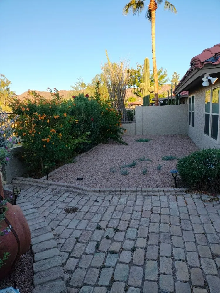 Expert lawn care service in Phoenix, AZ by Daniel Landscaping