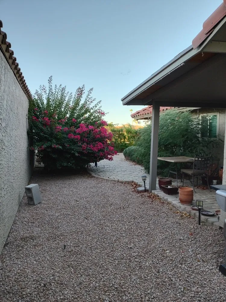 Reliable lawn care service in Phoenix, AZ - Daniel Landscaping