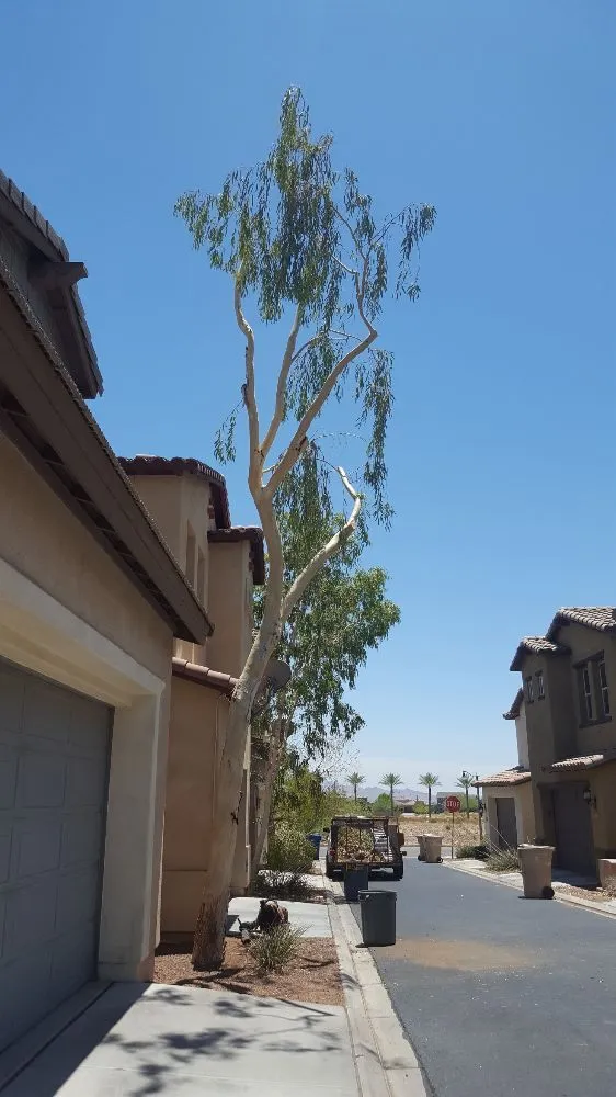 Local garden landscaping experts serving Phoenix, AZ - Daniel Landscaping