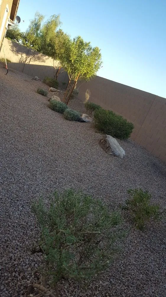Custom yard maintenance experts serving Phoenix, AZ - Daniel Landscaping