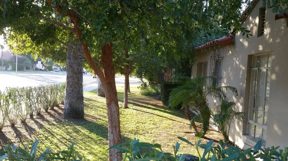 Trusted landscape installation experts serving Phoenix, AZ - Daniel Landscaping