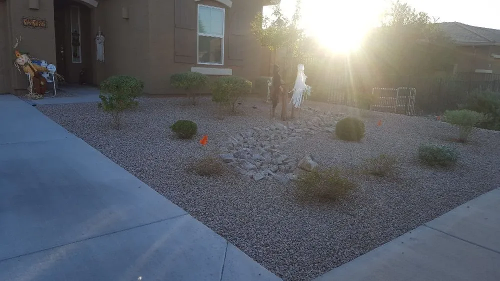 Local garden landscaping in Phoenix, AZ - Daniel Landscaping