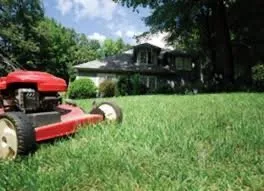 Expert yard maintenance in Elmira, NY - Daniel Lawn Care