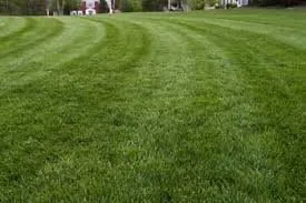 Local outdoor landscaping for residential properties across Elmira, NY - Daniel Lawn Care