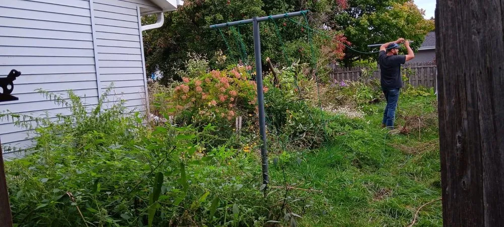 Expert landscape design in Racine, WI by Daniel Lawn Care