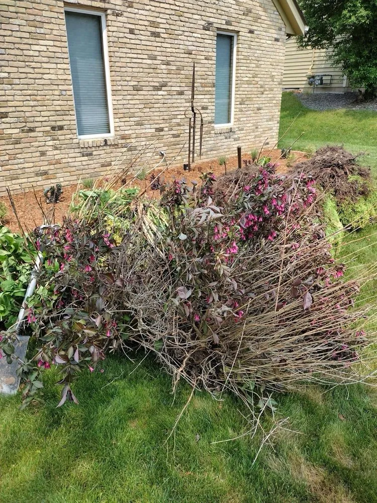 Local lawn mowing service near you across Racine, WI - Daniel Lawn Care