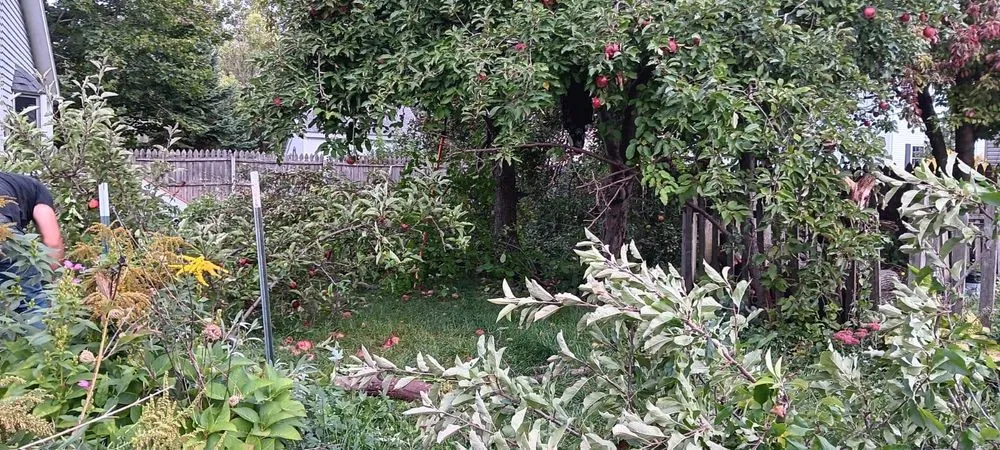 Top-rated landscape installation for beautiful yards in Racine, WI by Daniel Lawn Care