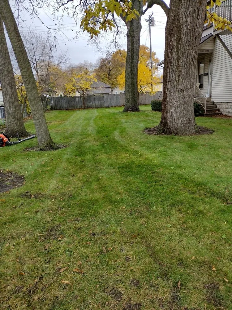 Top-rated yard cleanup service for beautiful yards across Racine, WI - Daniel Lawn Care