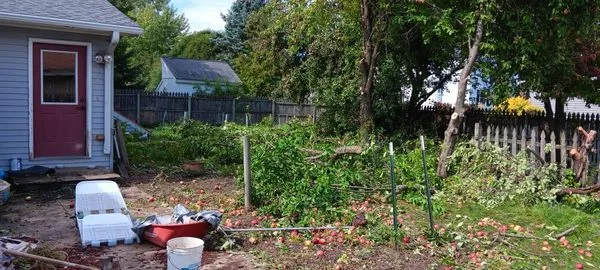 Daniel Lawn Care Logo