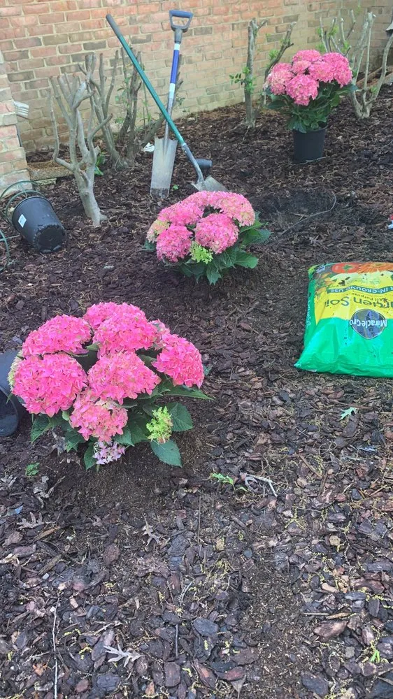 Local yard cleanup service experts serving Mountain Brook, AL - Daniel Lawn Mowers And More