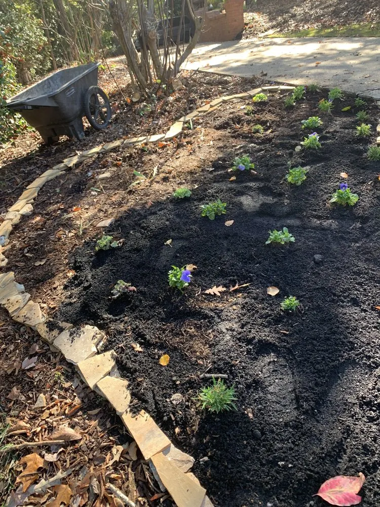 Affordable landscaping services experts serving Mountain Brook, AL - Daniel Lawn Mowers And More