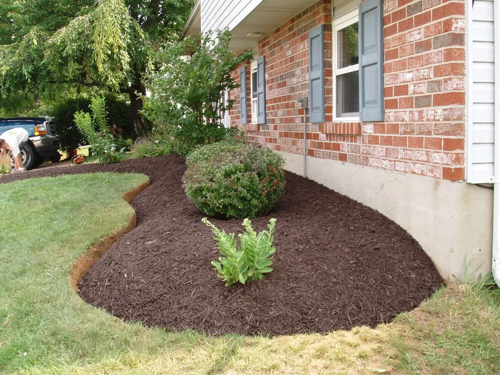 Affordable landscape design near you in Pelzer, SC by Daniel Lawn Service
