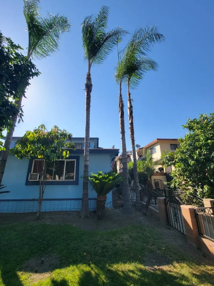 Top-rated garden landscaping for outdoor upgrades across South Gate, CA - Daniel Lawn Service Y Landscaping