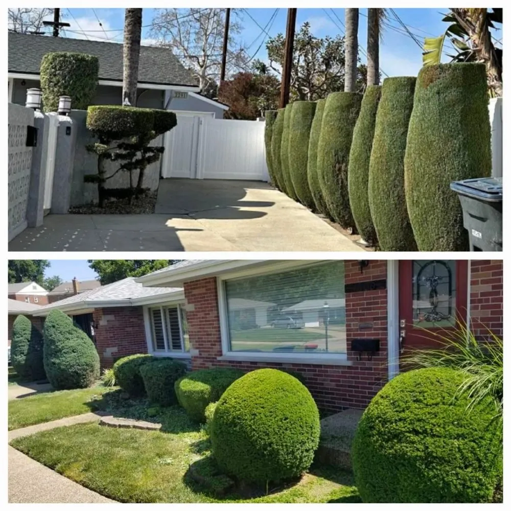 Top-rated landscape installation with custom design across South Gate, CA - Daniel Lawn Service Y Landscaping