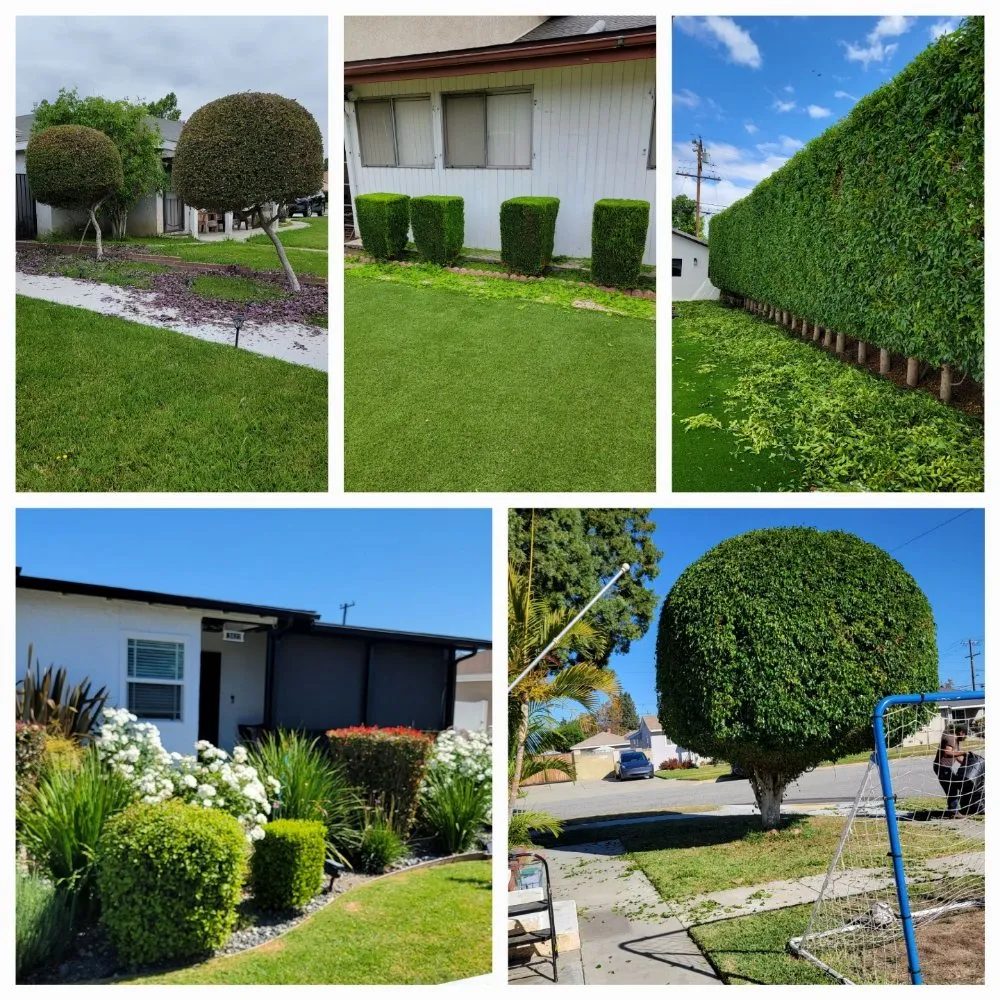 Professional garden landscaping in South Gate, CA - Daniel Lawn Service Y Landscaping