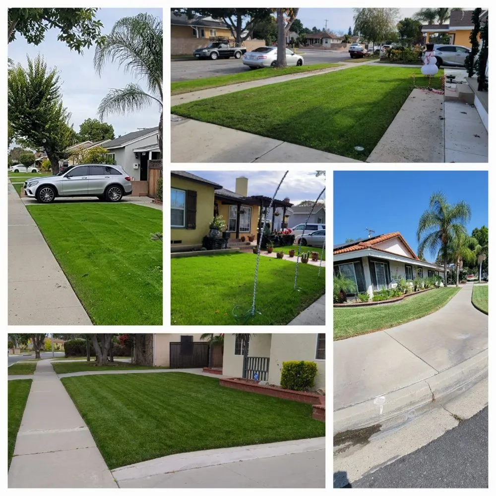 Local outdoor landscaping for year-round maintenance across South Gate, CA - Daniel Lawn Service Y Landscaping