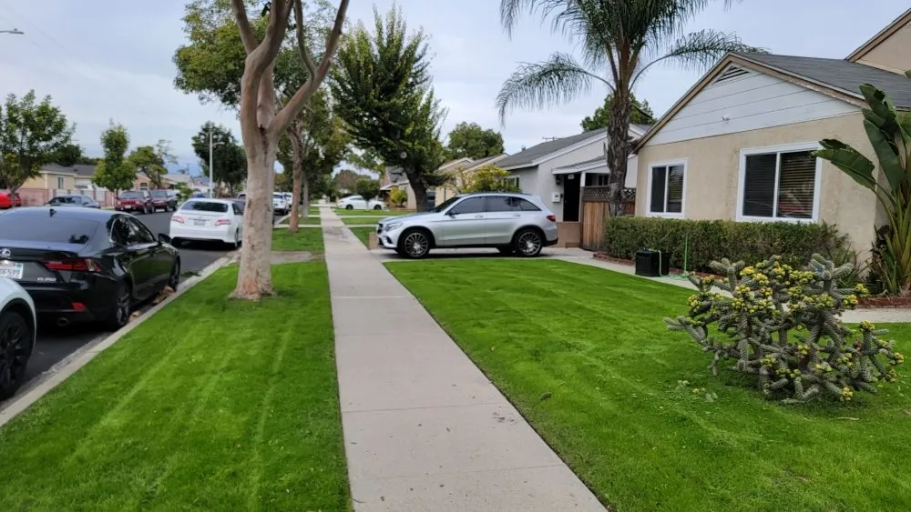 Trusted landscape design for beautiful yards in South Gate, CA by Daniel Lawn Service Y Landscaping