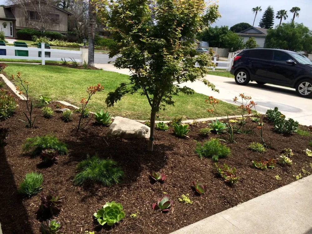Top-rated garden landscaping with custom design in Orange, CA by Daniel Leon Landscape
