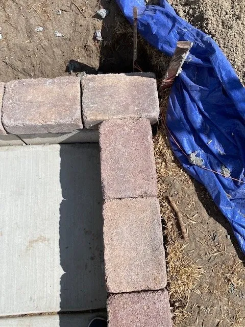 Trusted yard cleanup service for beautiful yards across Orange, CA - Daniel Leon Landscape