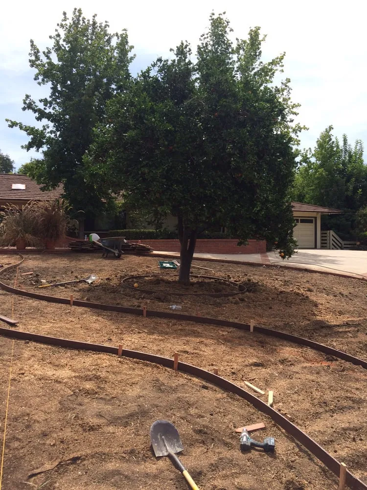 Professional outdoor landscaping for outdoor upgrades in Orange, CA by Daniel Leon Landscape