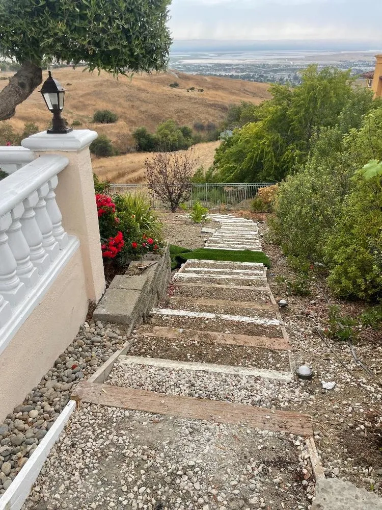 Trusted lawn care service in Hayward, CA - Daniel Martinez Landscaping