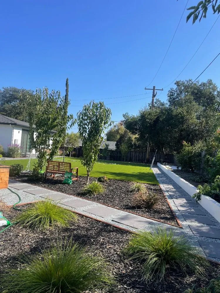 Professional yard cleanup service experts serving Hayward, CA - Daniel Martinez Landscaping