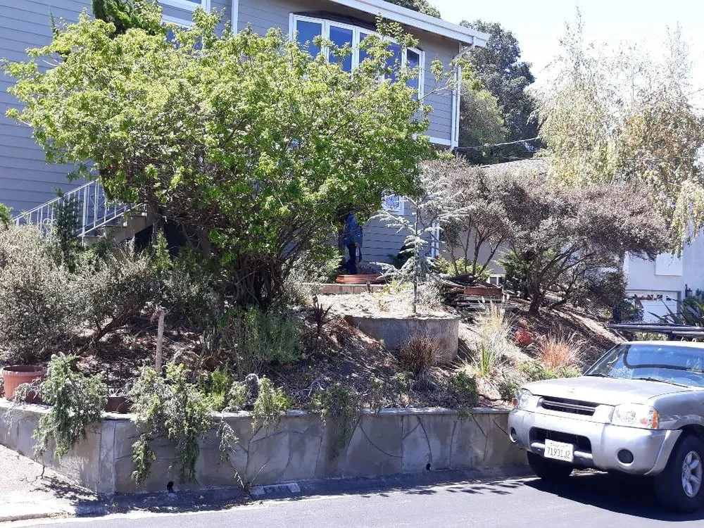 Local landscape installation in Hayward, CA - Daniel Martinez Landscaping