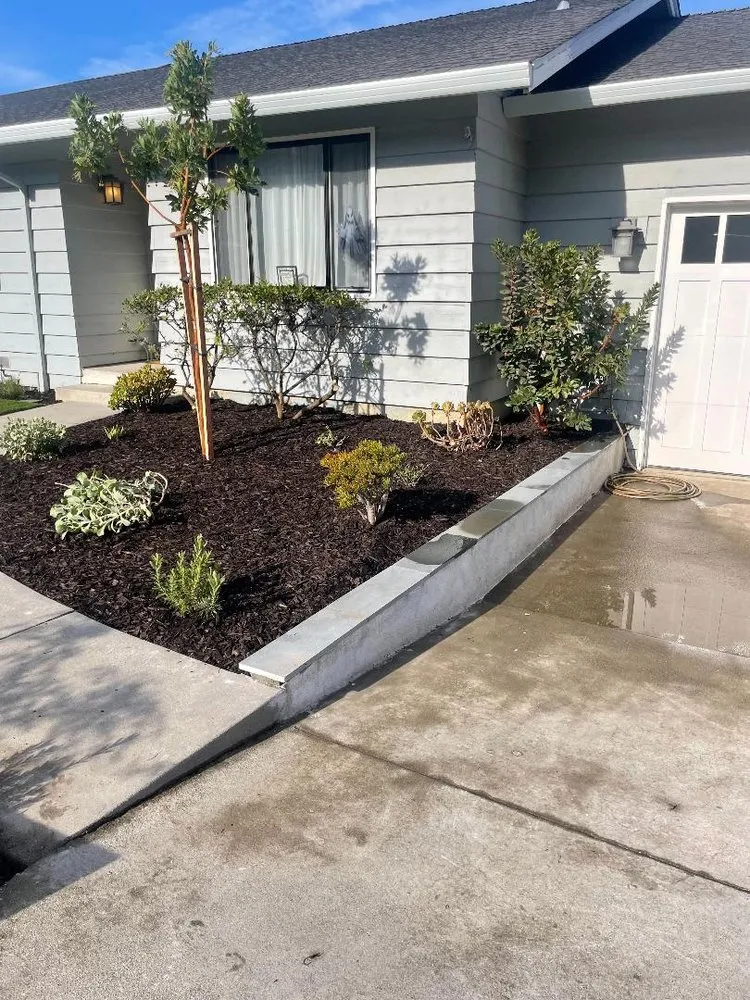 Top-rated outdoor landscaping in Hayward, CA - Daniel Martinez Landscaping