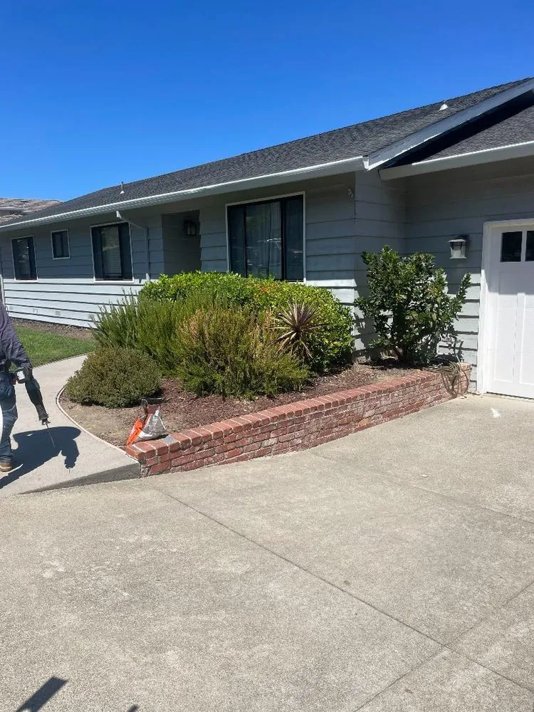 Affordable yard maintenance experts serving Hayward, CA - Daniel Martinez Landscaping