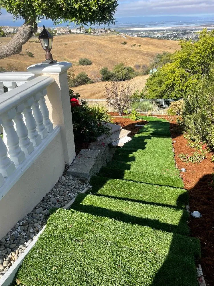 Trusted yard cleanup service in Hayward, CA - Daniel Martinez Landscaping
