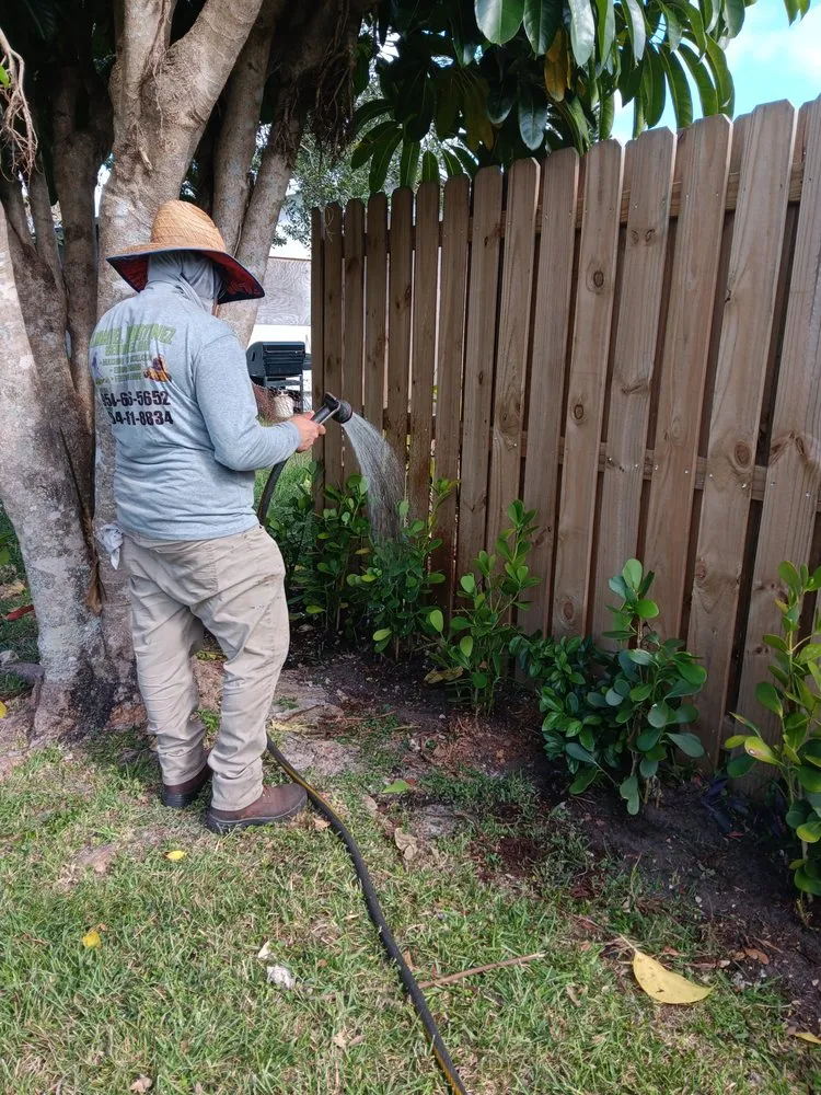 Professional landscaping services in Coral Springs, FL by Daniel Martinez Services