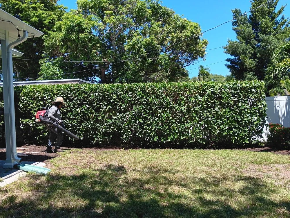 Affordable outdoor landscaping experts serving Coral Springs, FL - Daniel Martinez Services