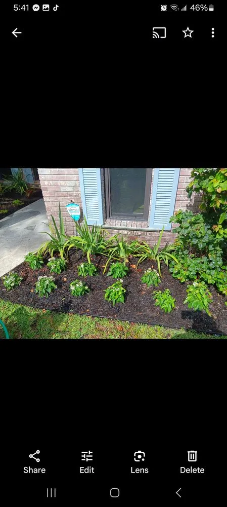 Expert residential landscaping in Coral Springs, FL - Daniel Martinez Services