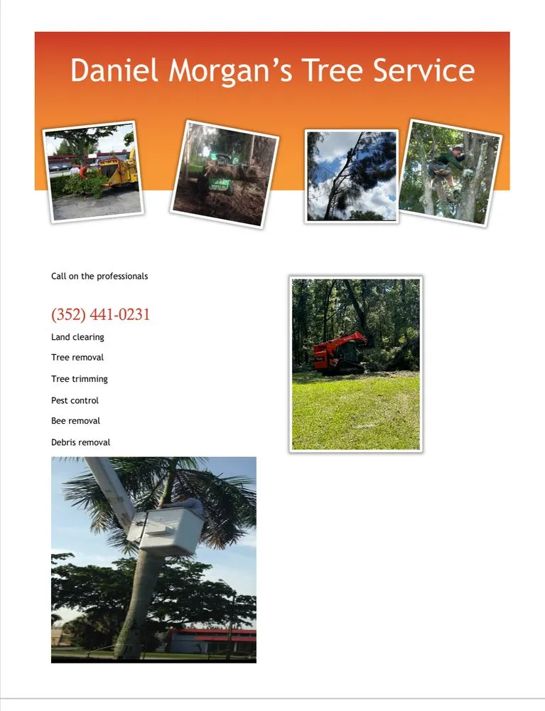 Professional yard cleanup service in Williston, FL by Daniel Morgan's Tree Service