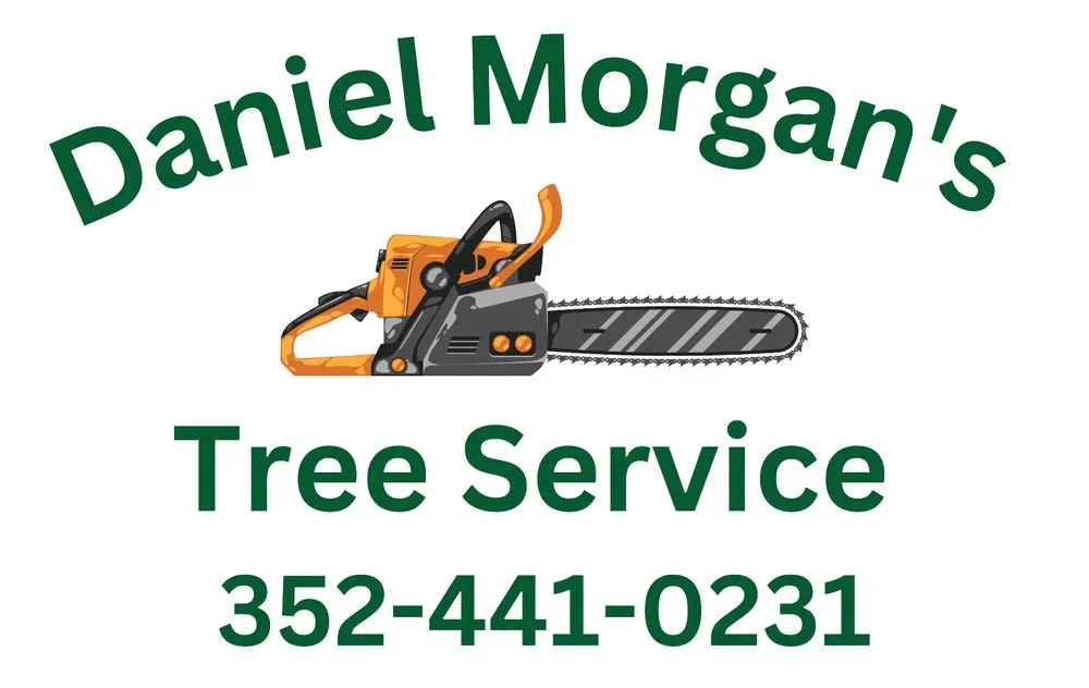 Trusted outdoor landscaping experts serving Williston, FL - Daniel Morgan's Tree Service