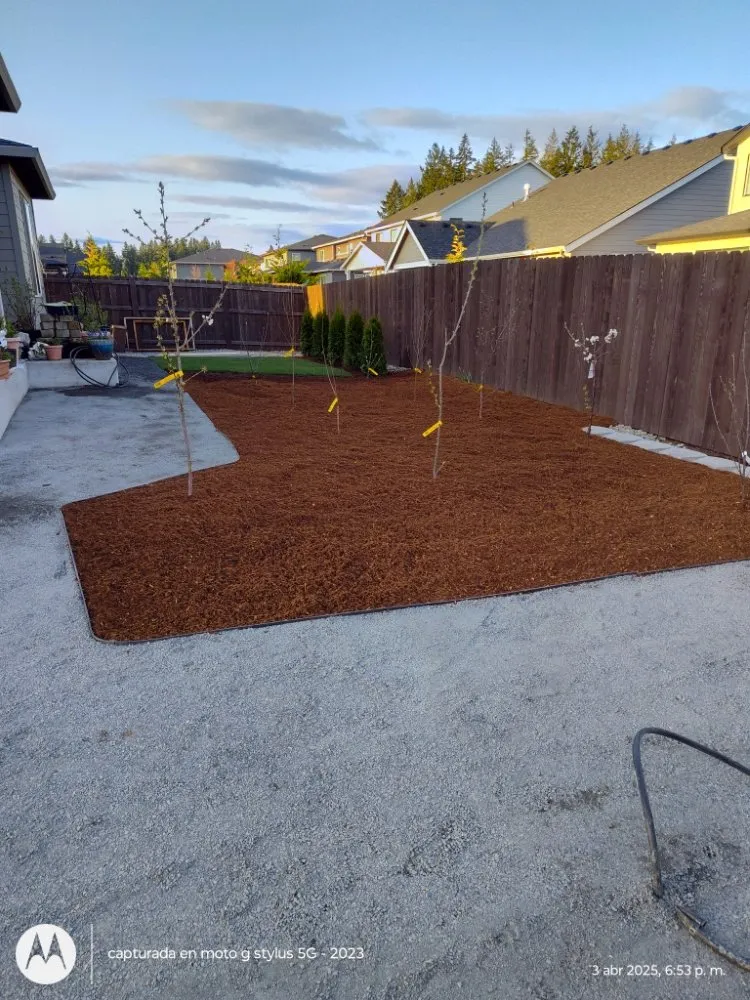 Reliable yard cleanup service with custom design across Vancouver, WA - Daniel R & R Landscaping