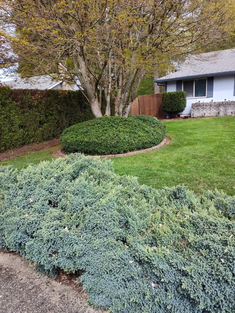 Top-rated landscape installation for residential properties across Vancouver, WA - Daniel R & R Landscaping