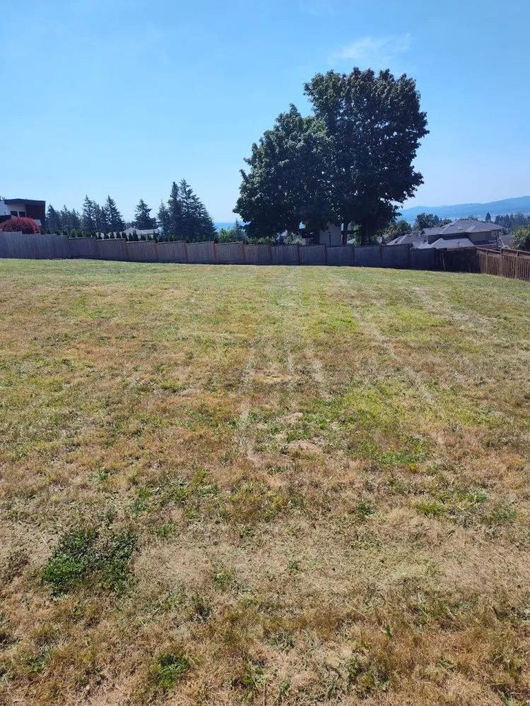 Custom yard cleanup service for homes across Vancouver, WA - Daniel R & R Landscaping