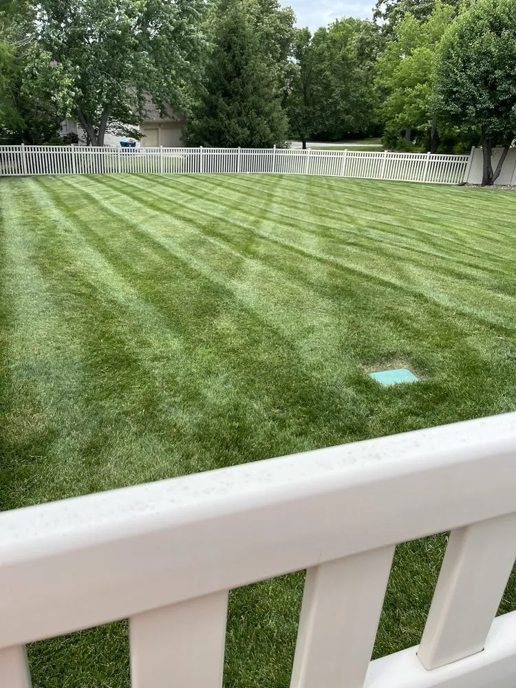 Top-rated yard cleanup service in Joplin, MO - Daniel Sears Mowing, Trimming, & Edging