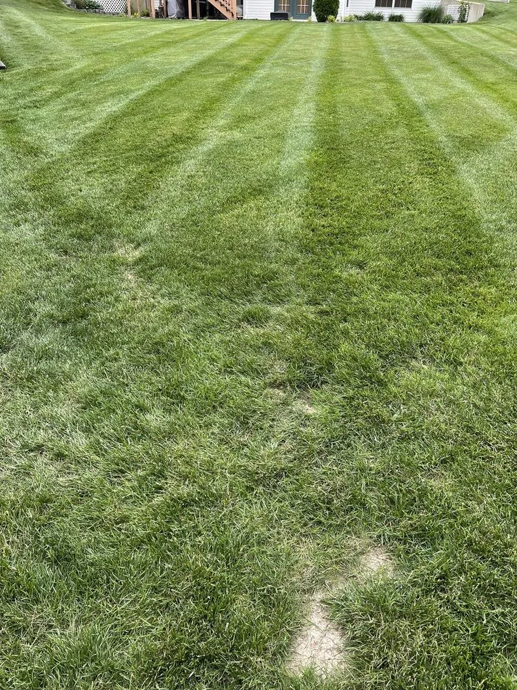 Trusted landscape installation in Joplin, MO by Daniel Sears Mowing, Trimming, & Edging