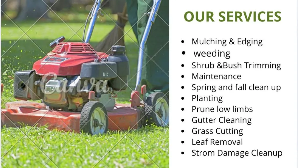 Professional yard cleanup service in Harvard, IL - Daniel Tolentino Mondragon