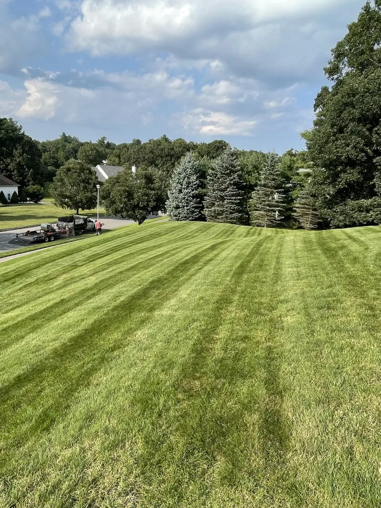 Expert lawn mowing service in Ipswich, MA by Daniel Tree Service and Landscaping