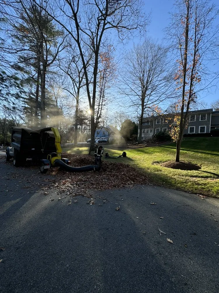 Expert landscape design for beautiful yards across Ipswich, MA - Daniel Tree Service and Landscaping