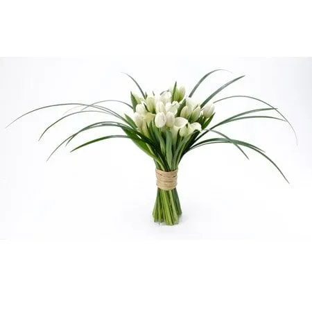 Affordable yard cleanup service in Ipswich, MA - Daniel Tree Service and Landscaping