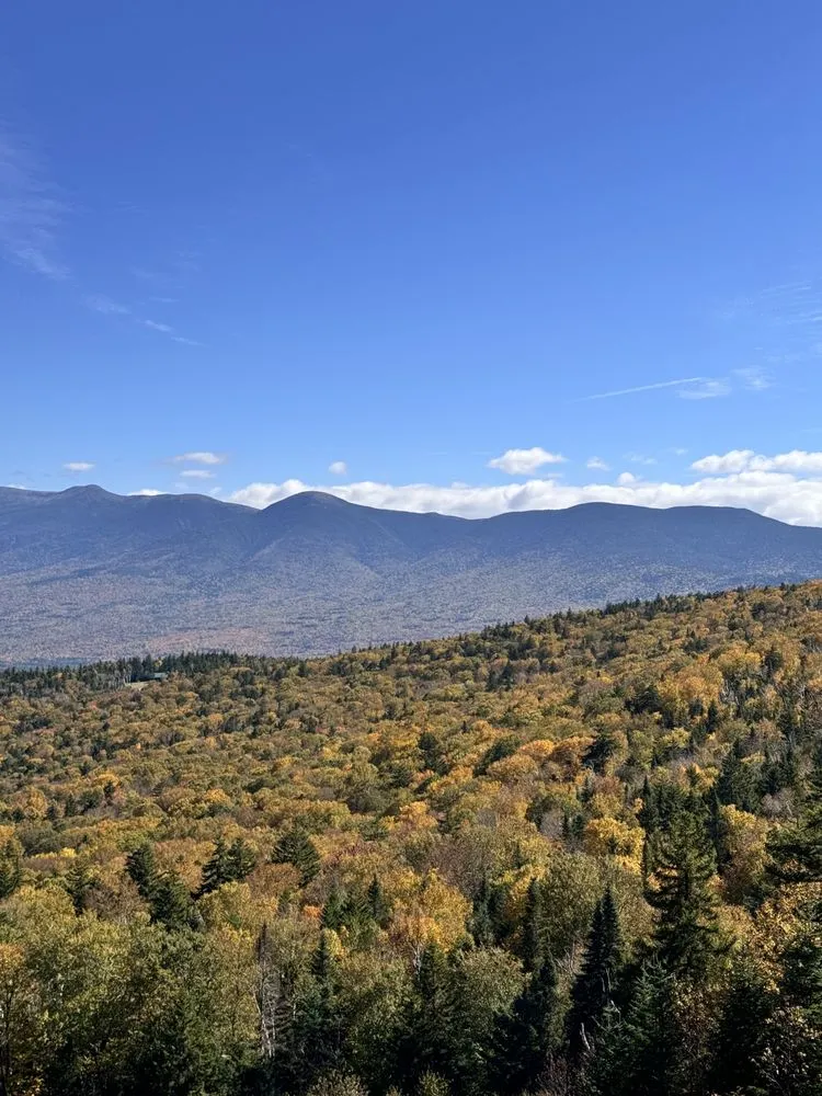 Professional landscape installation near you across Ipswich, MA - Daniel Tree Service and Landscaping