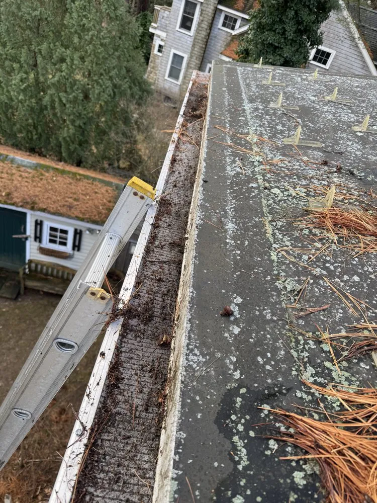 Expert landscape installation in Ipswich, MA by Daniel Tree Service and Landscaping