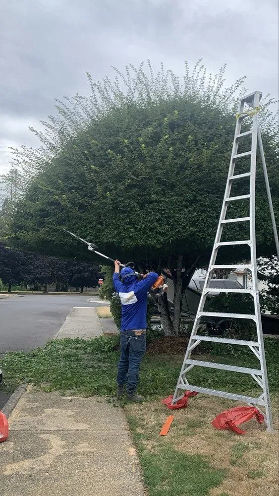 Custom garden landscaping for outdoor upgrades in Vancouver, WA by Daniel V Landscaping